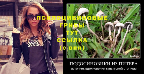 бутират Няндома