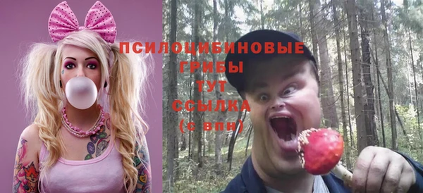 метадон Нягань