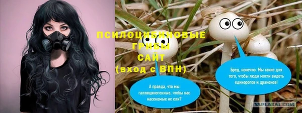 2c-b Абаза